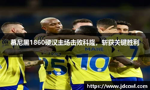333体育app